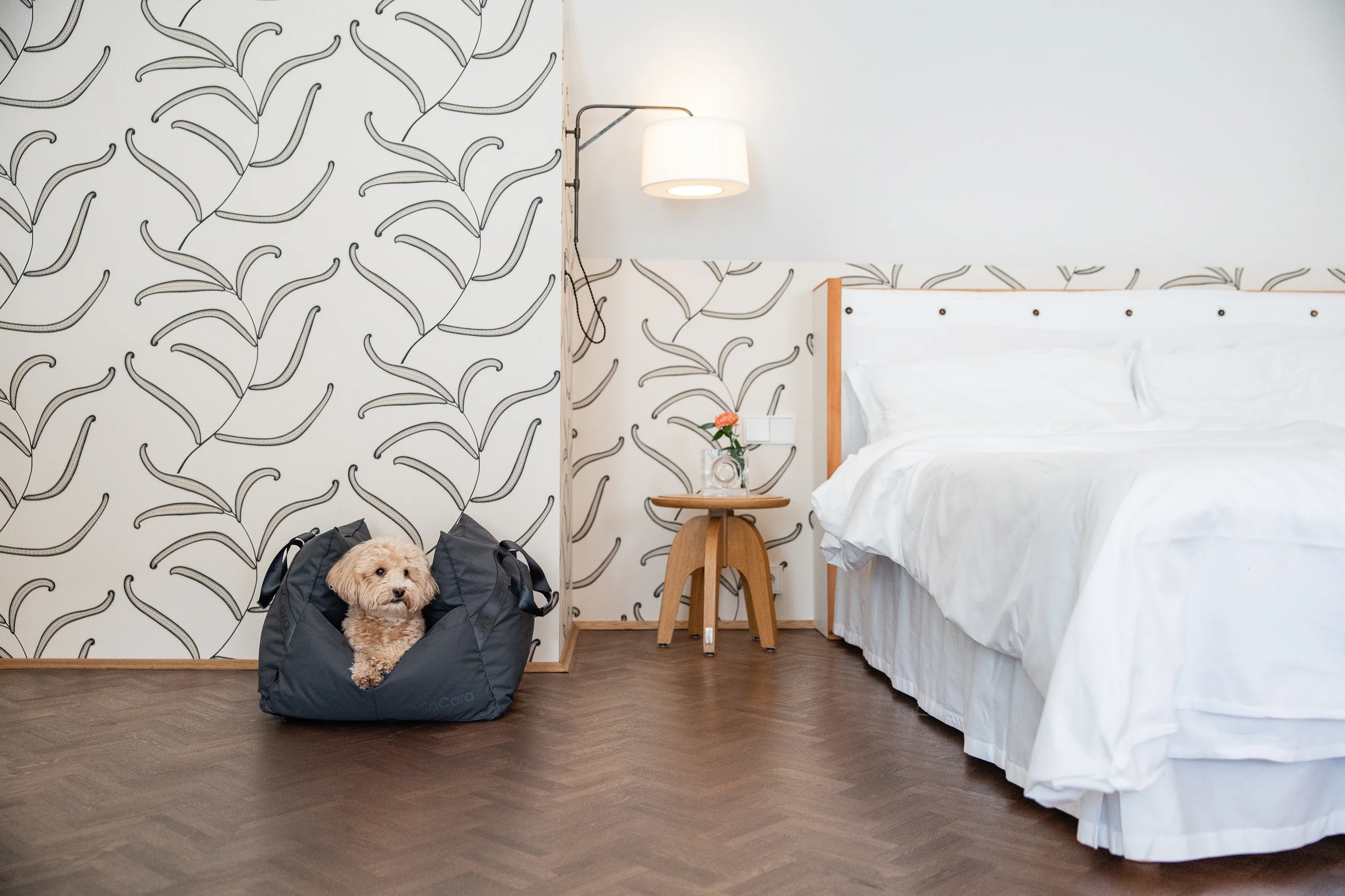 Design für Hund und Katze